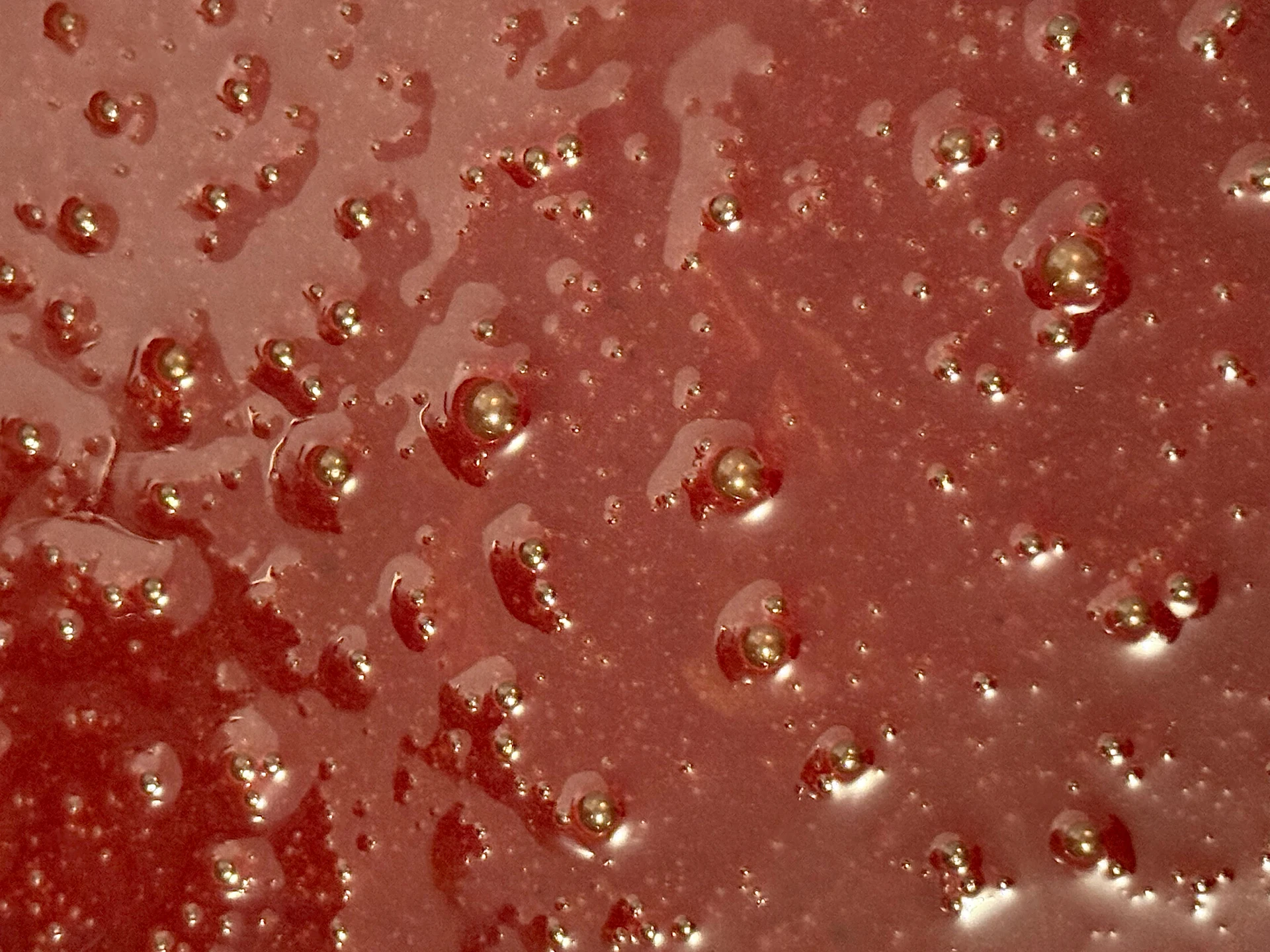 Active fermentation with purple-pink bubbles showing microbial activity